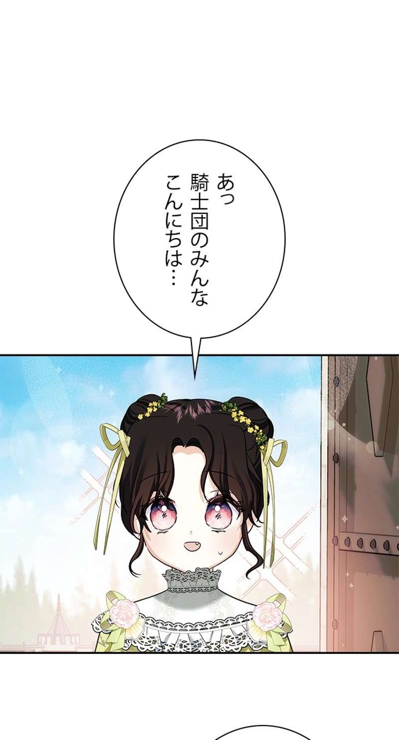 P66