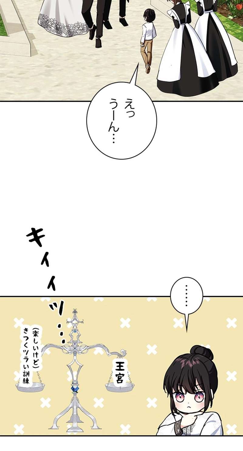 P63