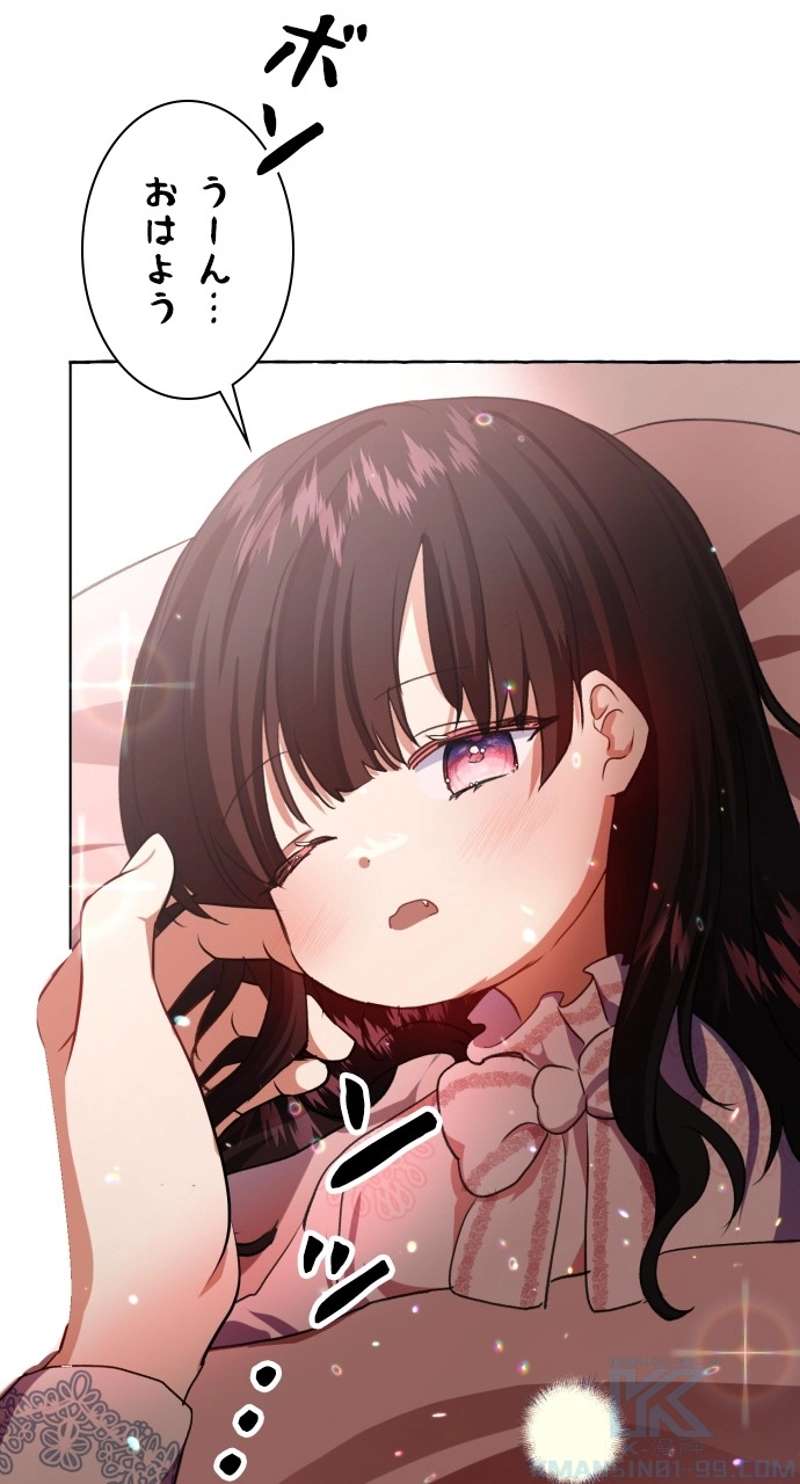 P61