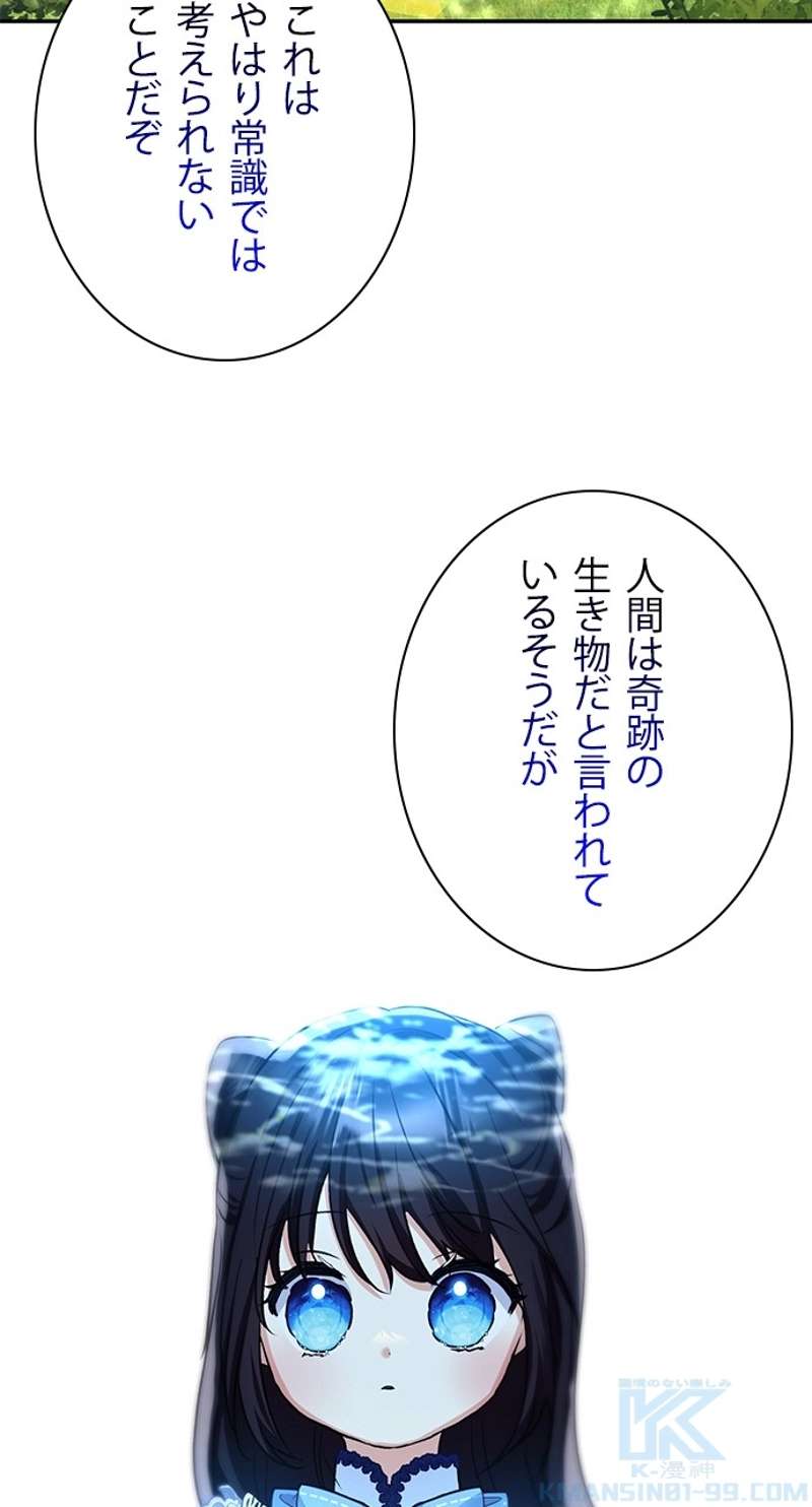 P58