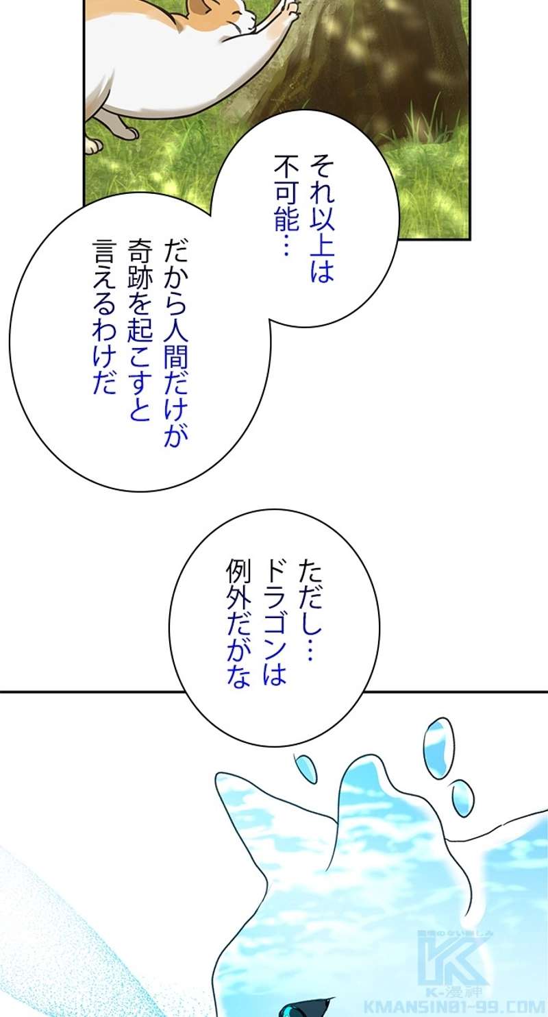 P61