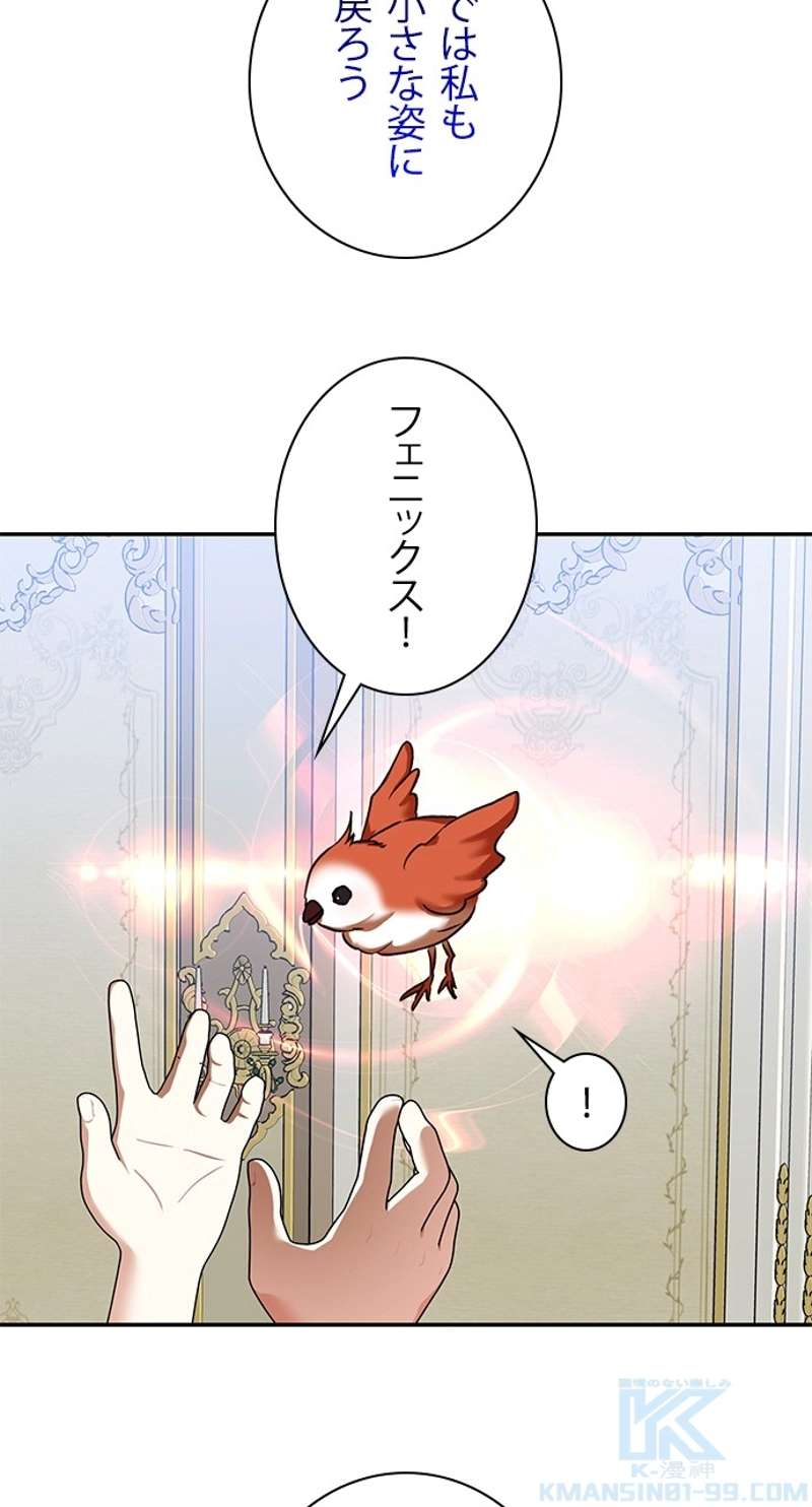 P64