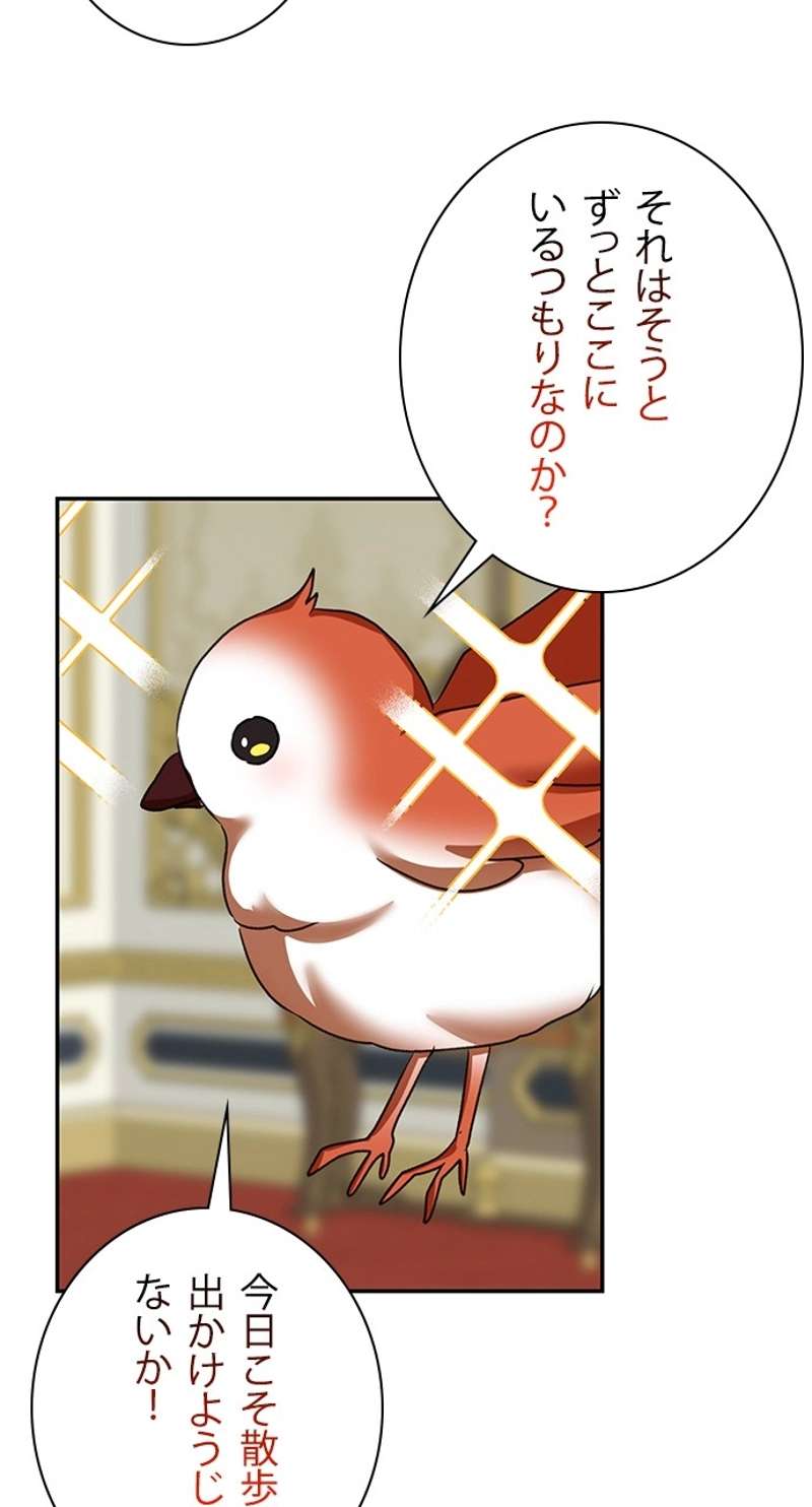 P66