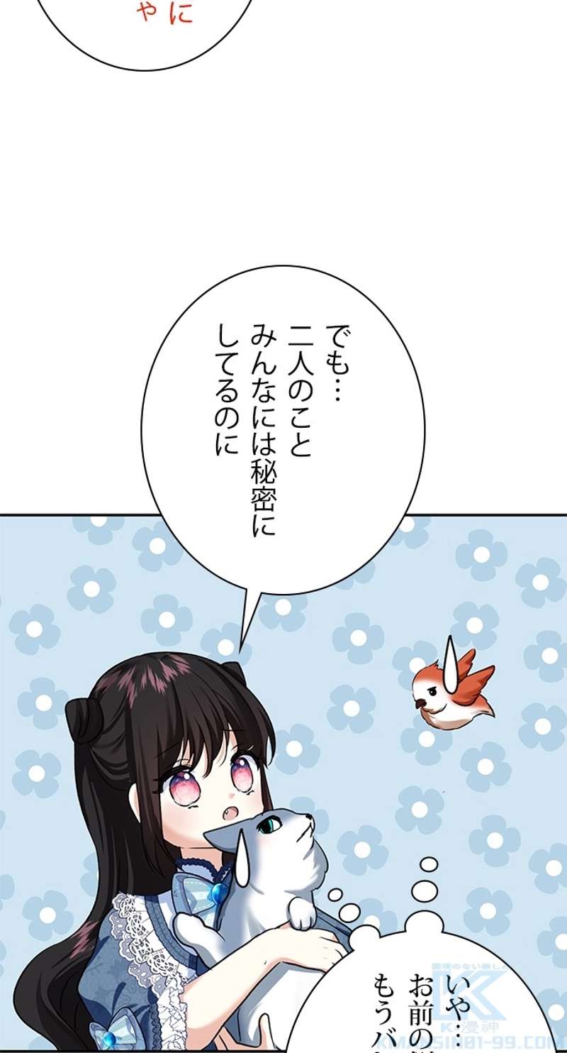 P67