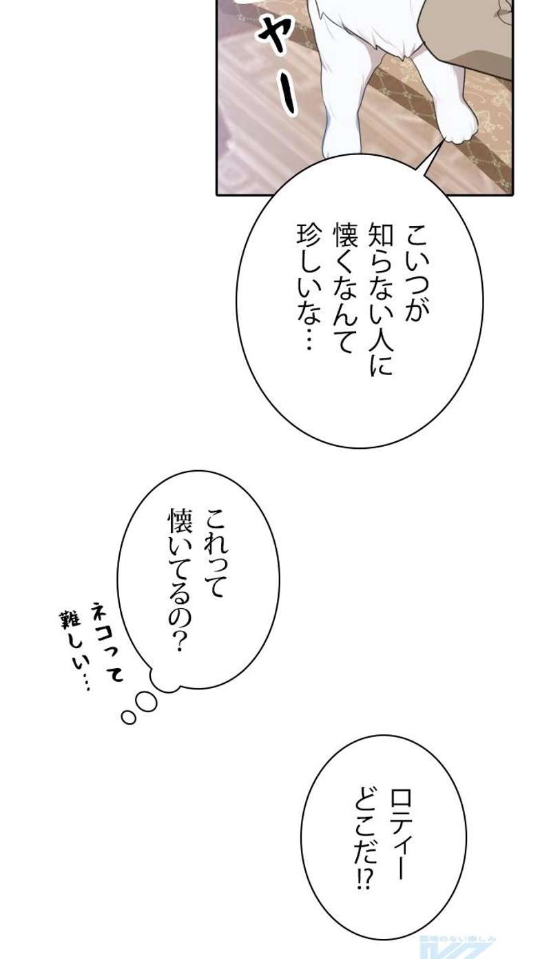 P61
