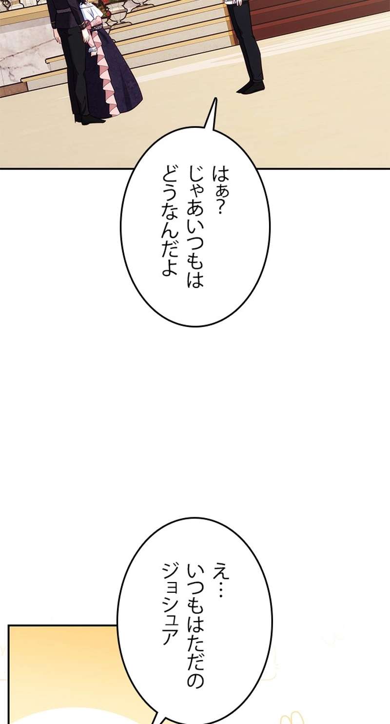 P66