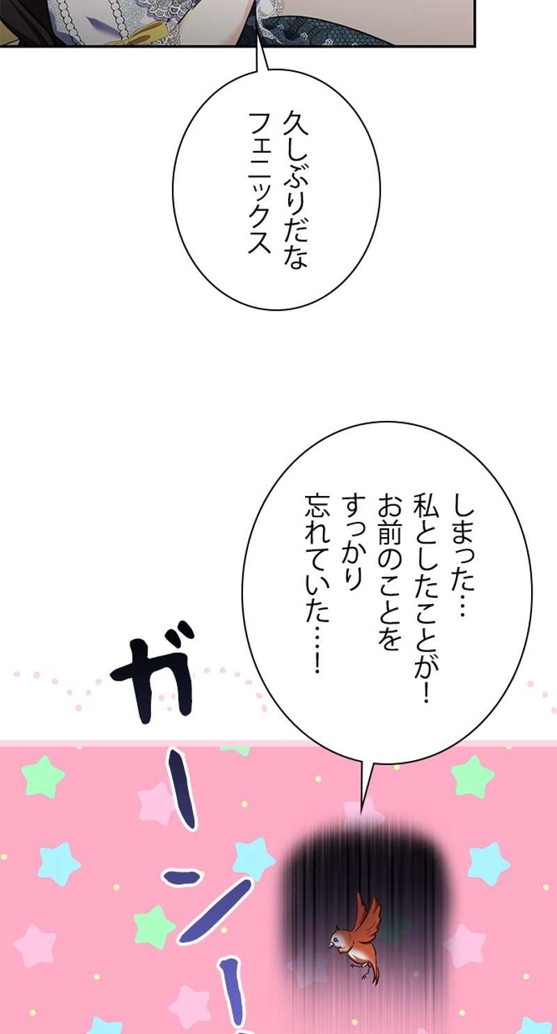 P61