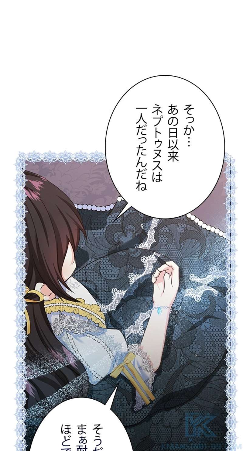 P65