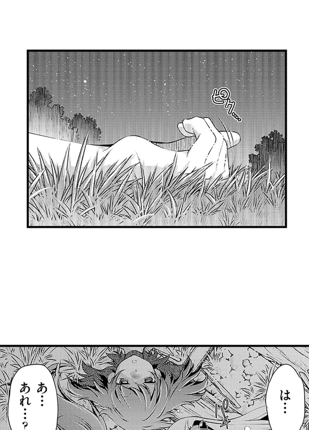 P63