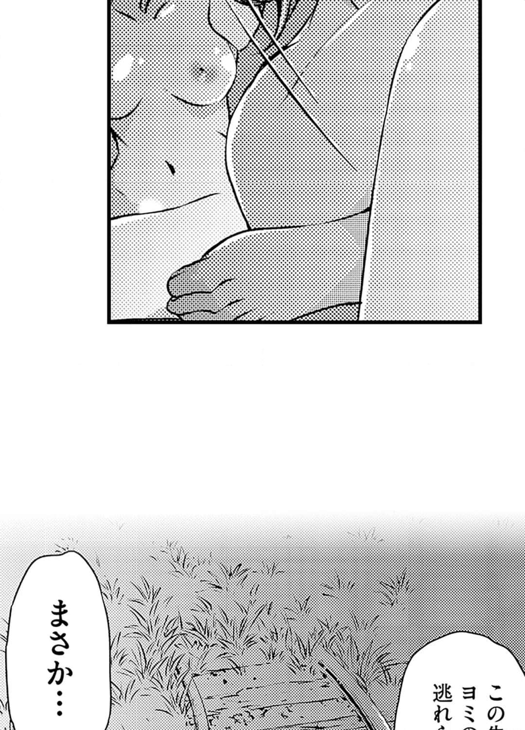 P66