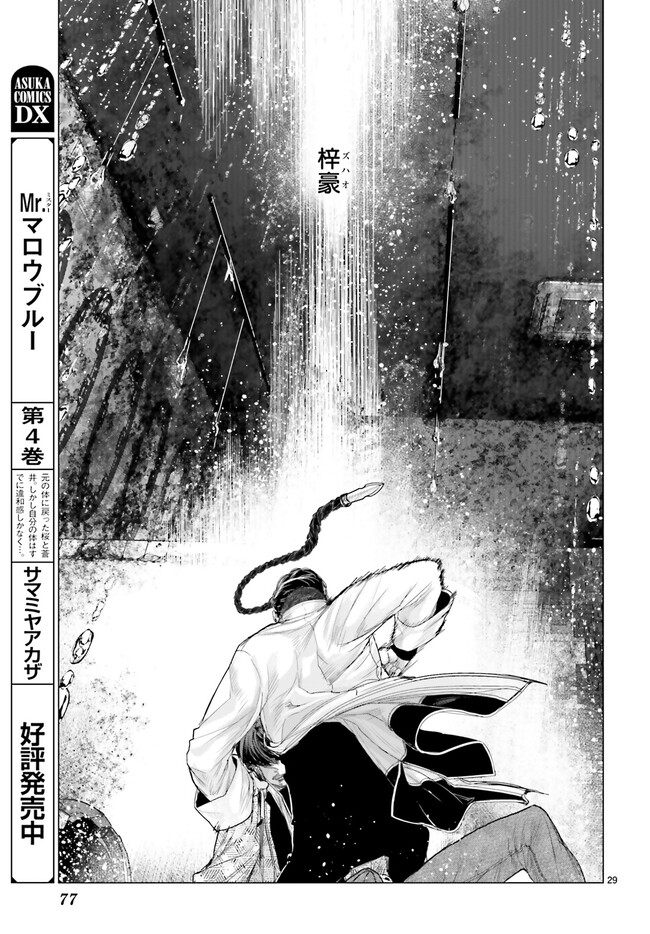 P29