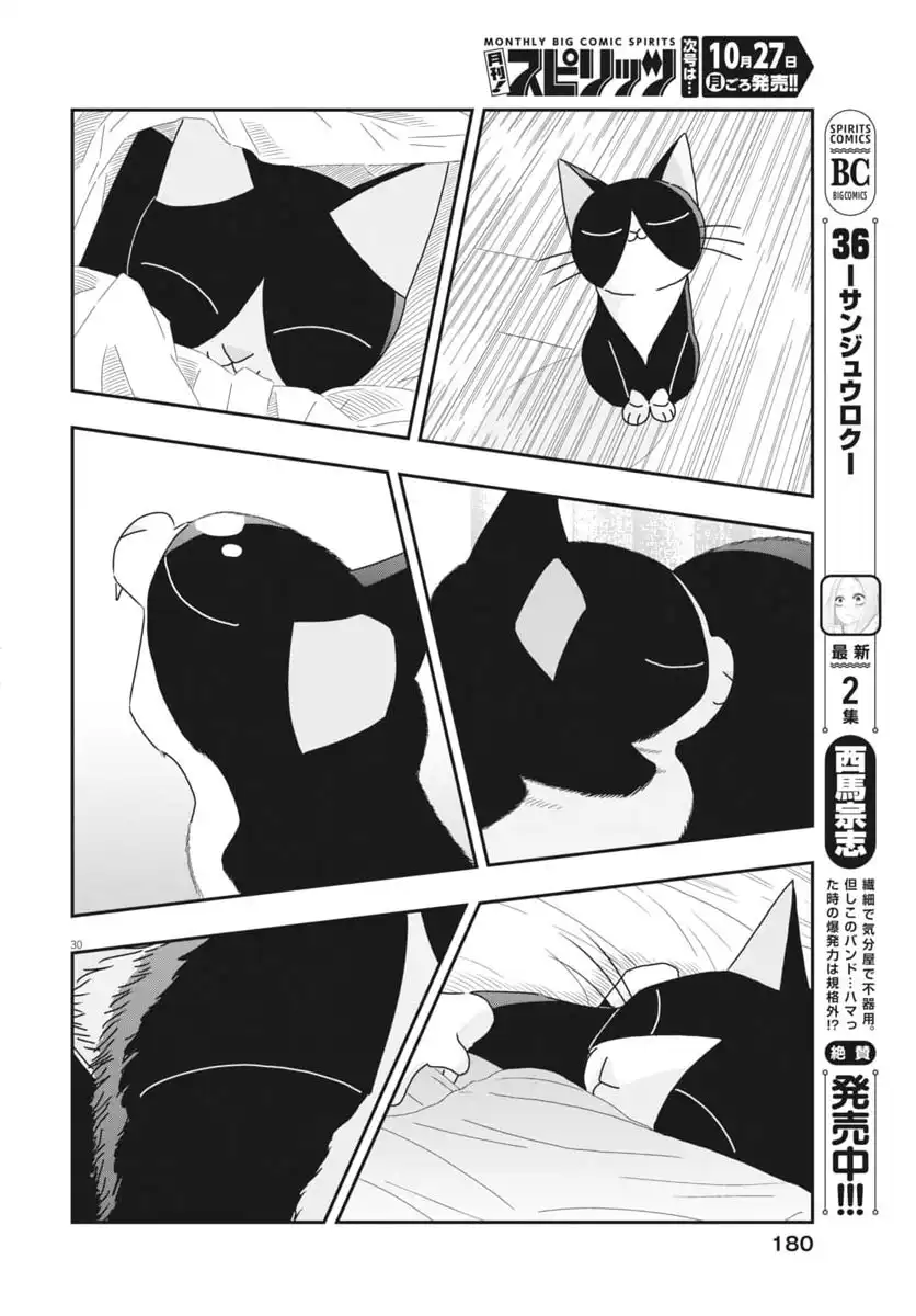 P30