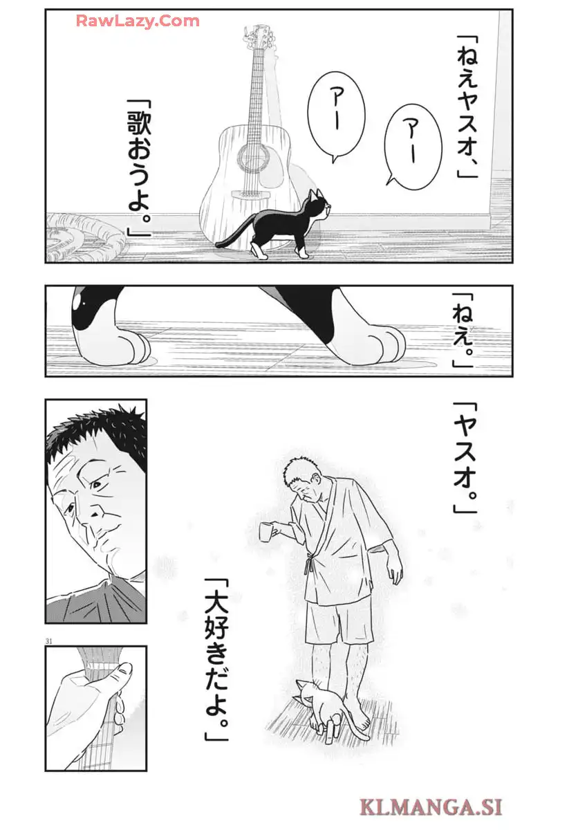 P31