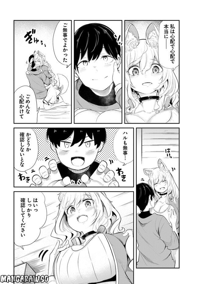 P42