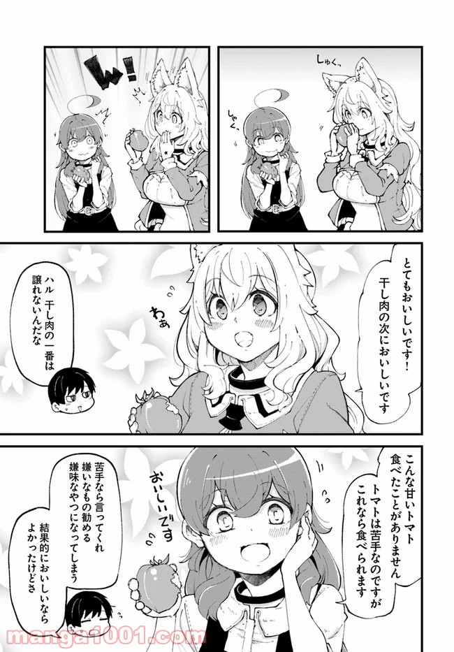 P27
