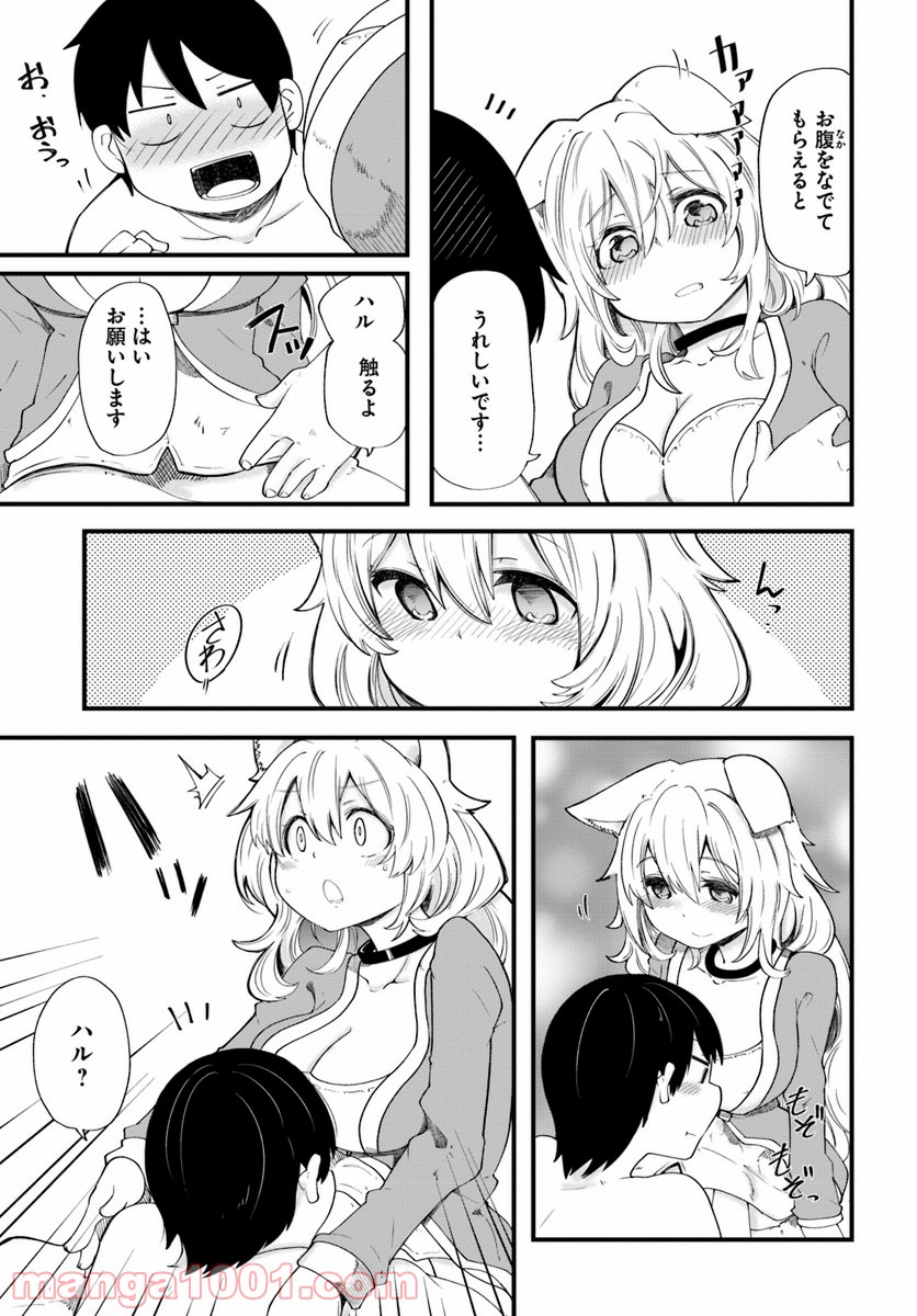 P27