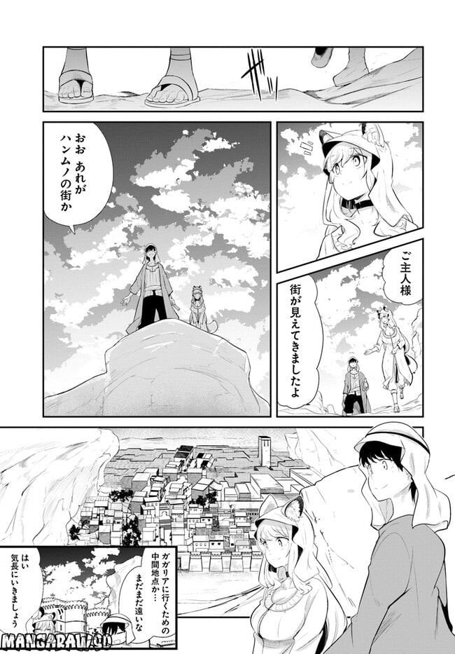 P41