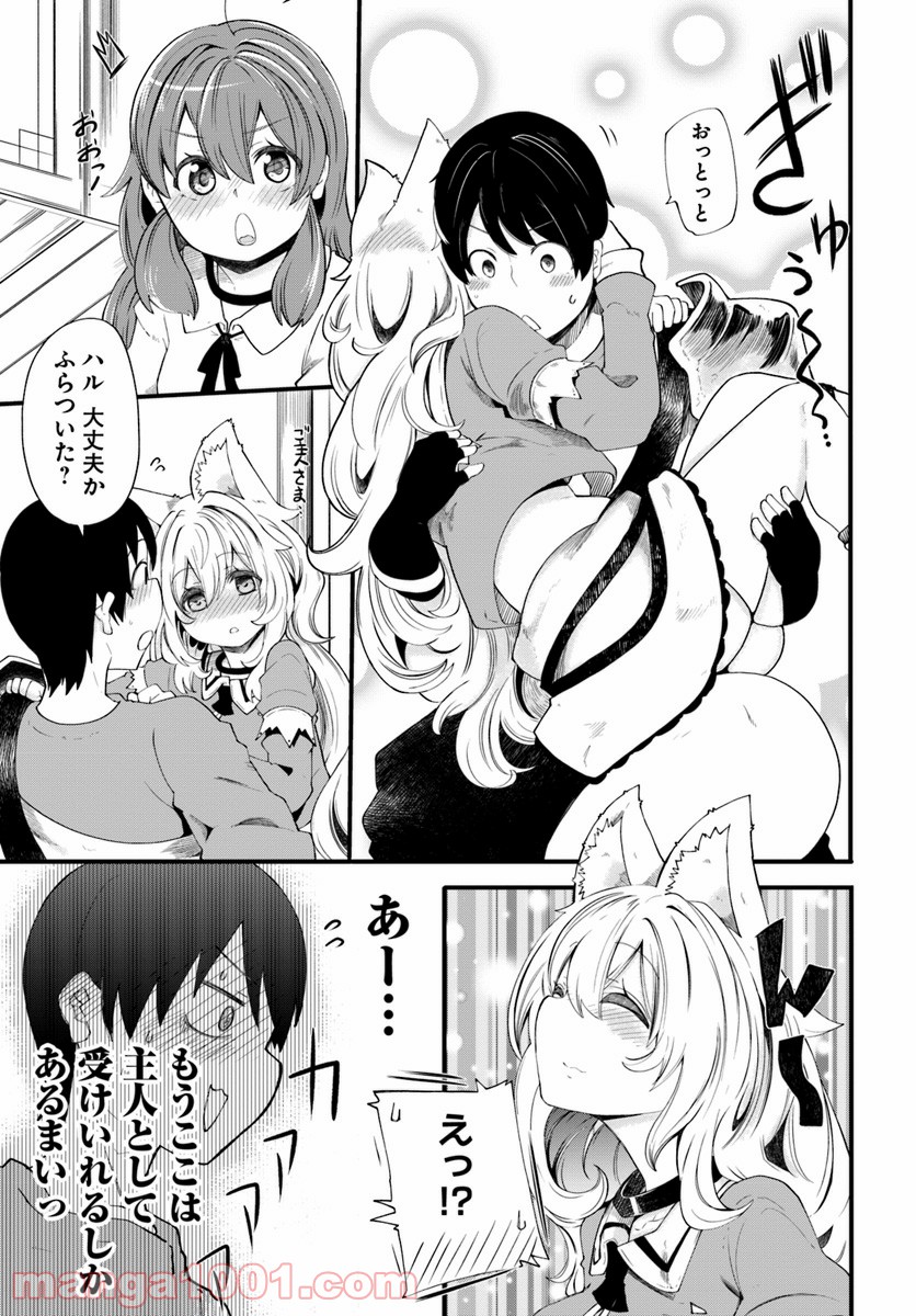 P41