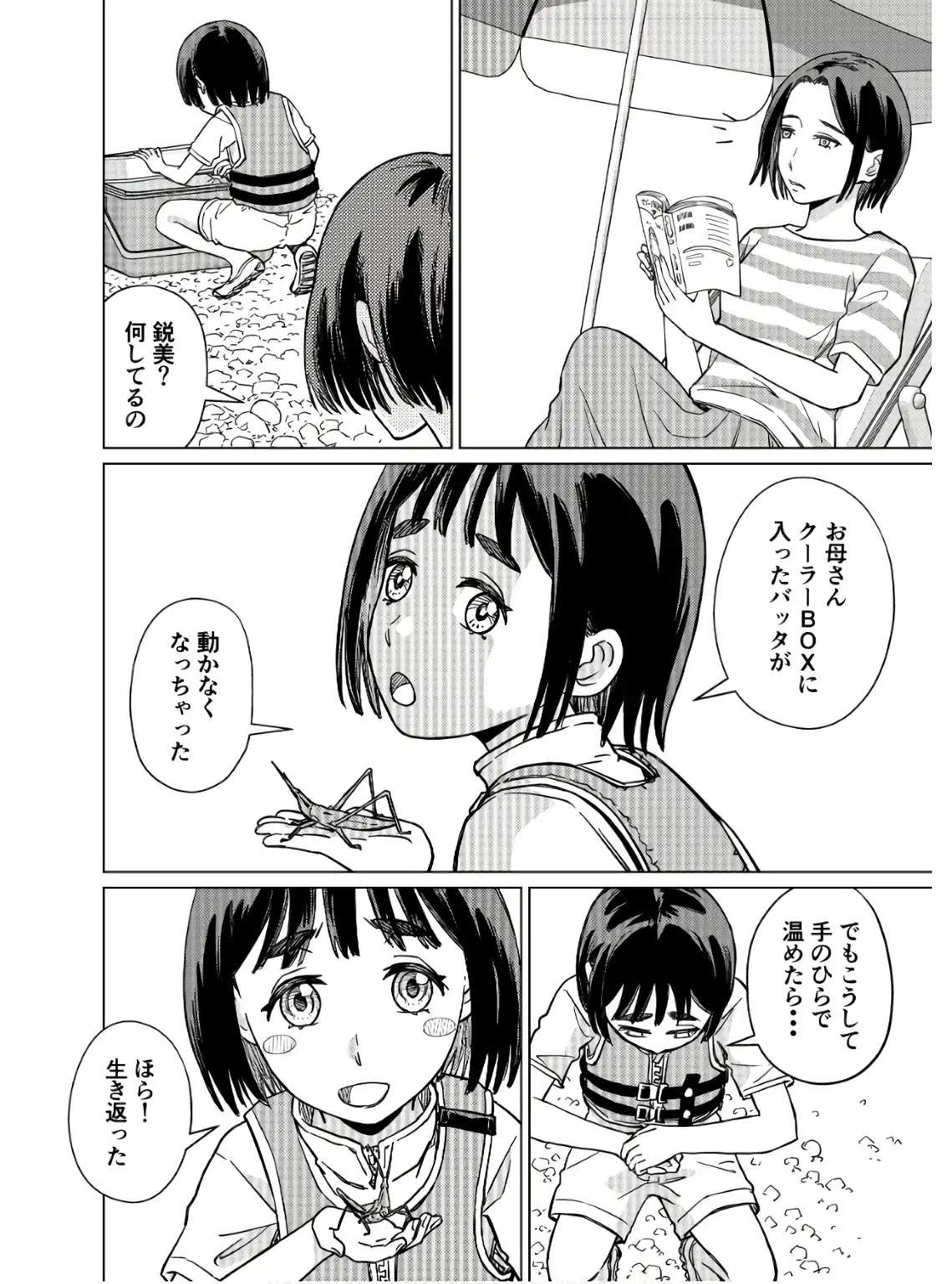 P26