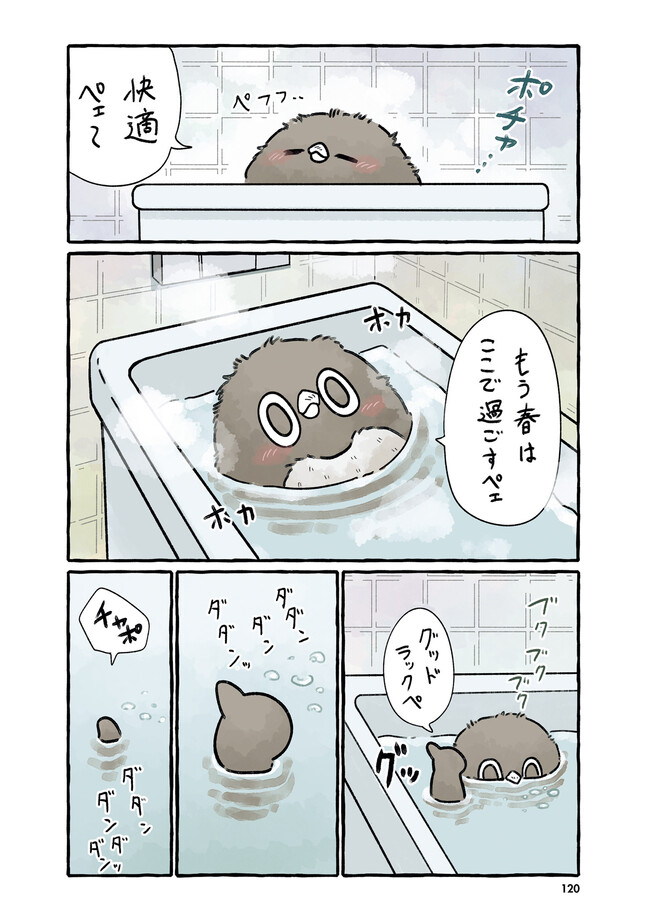 P4