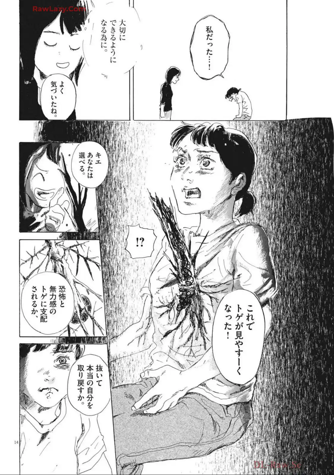 P14