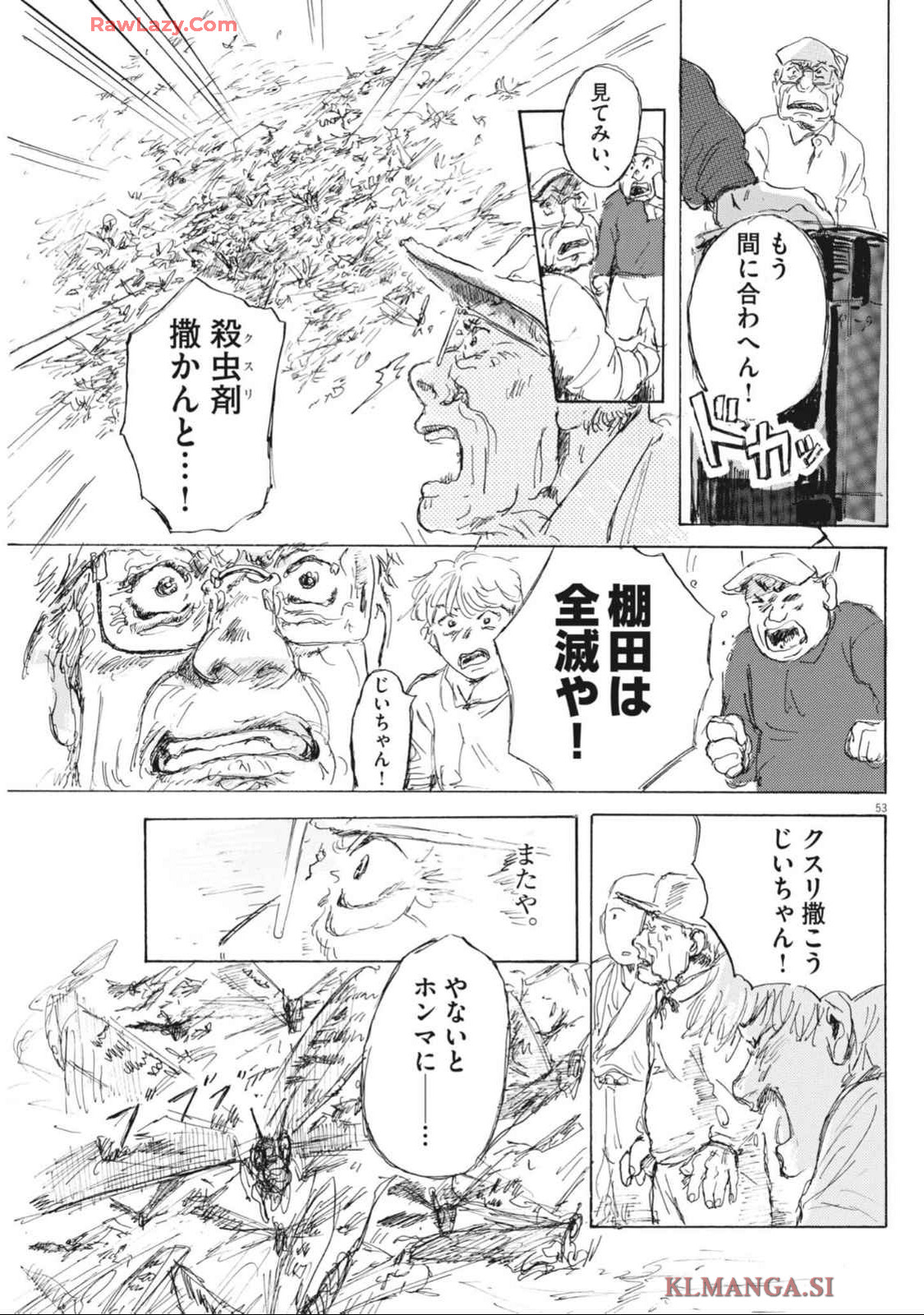 P53
