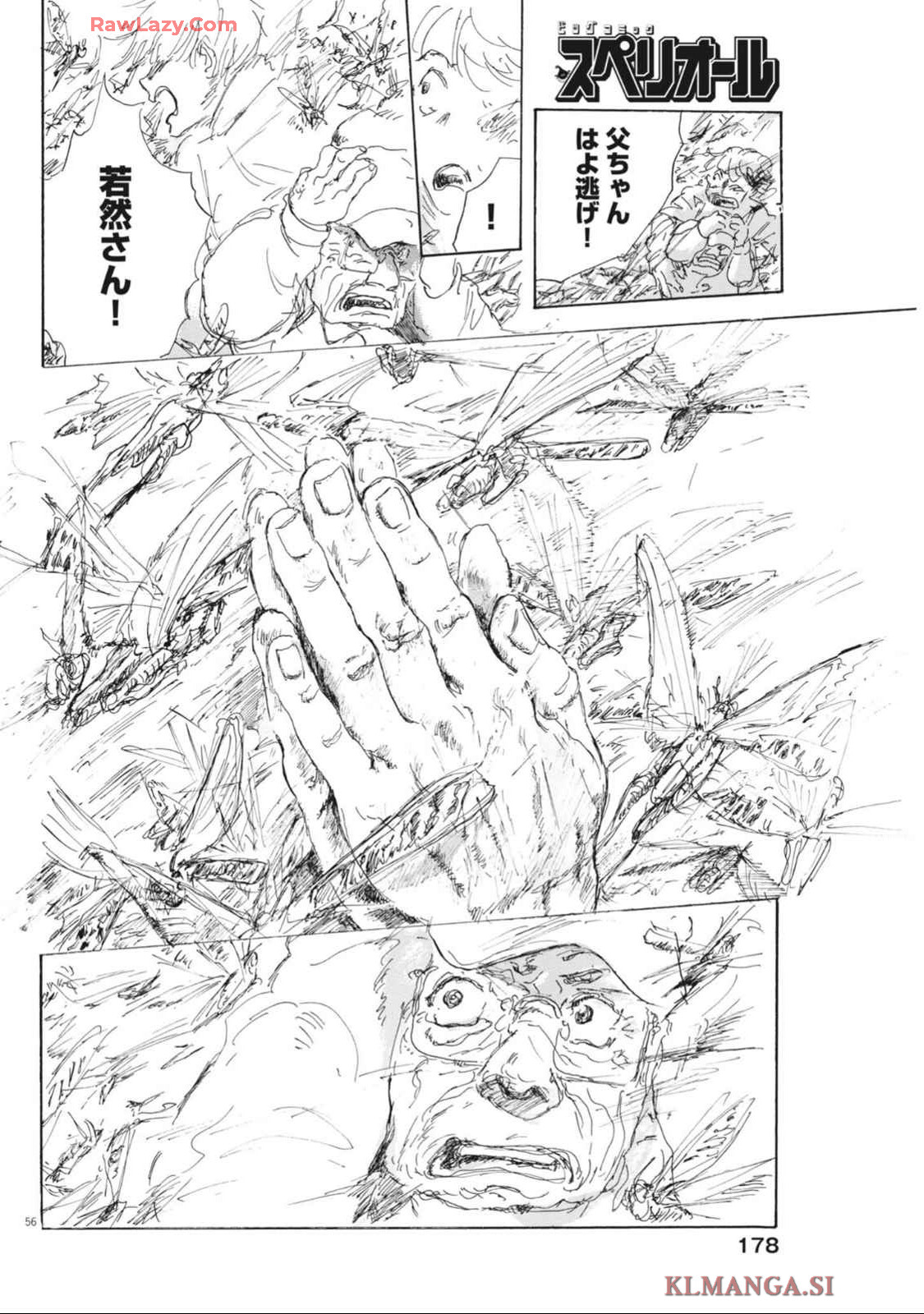 P56