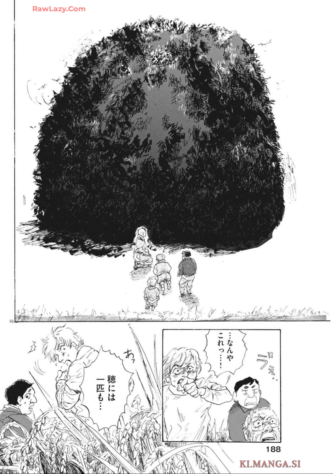 P66