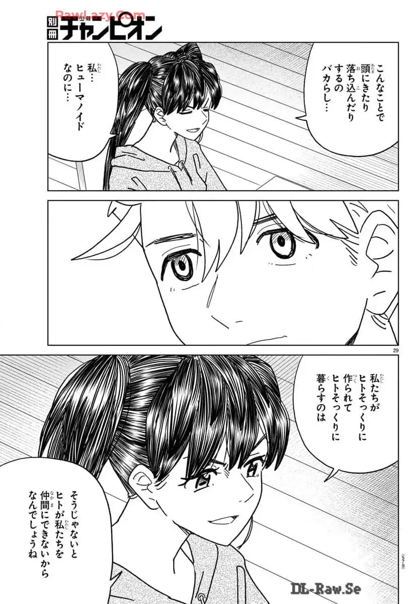 P29