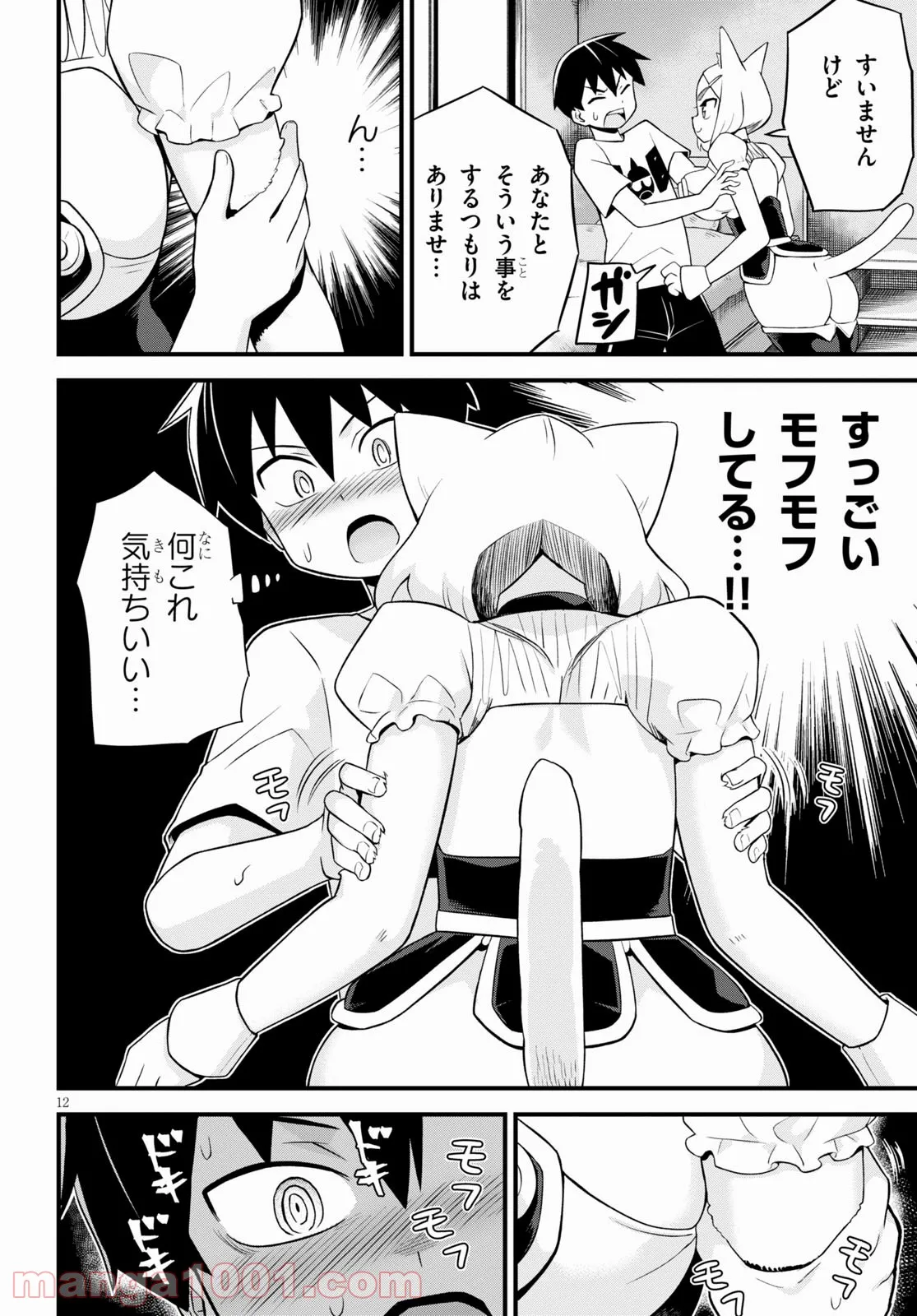 P12