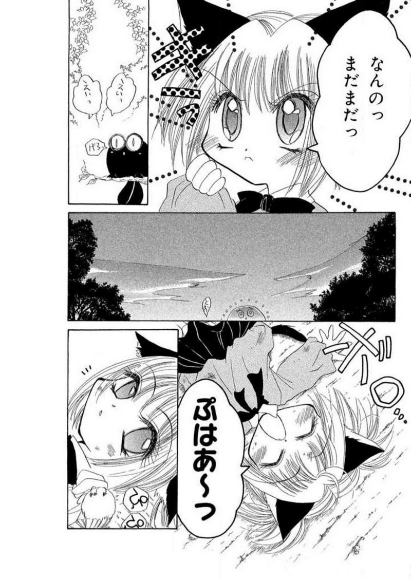 P40