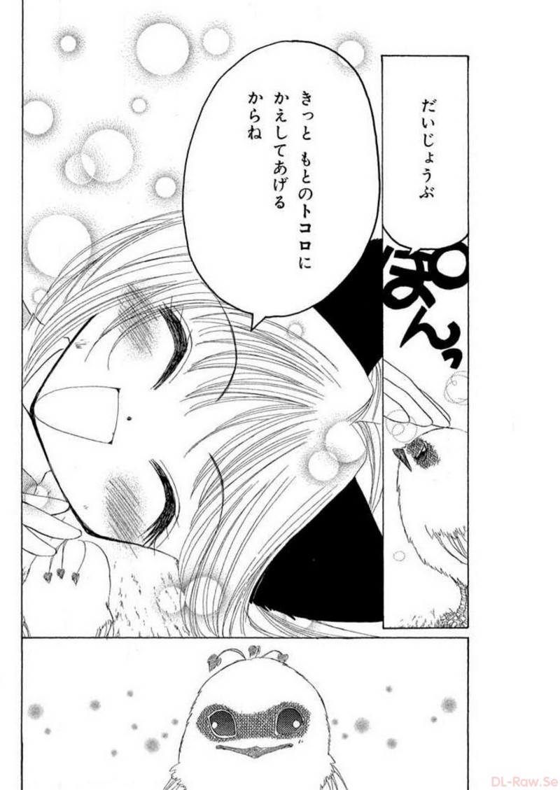 P41