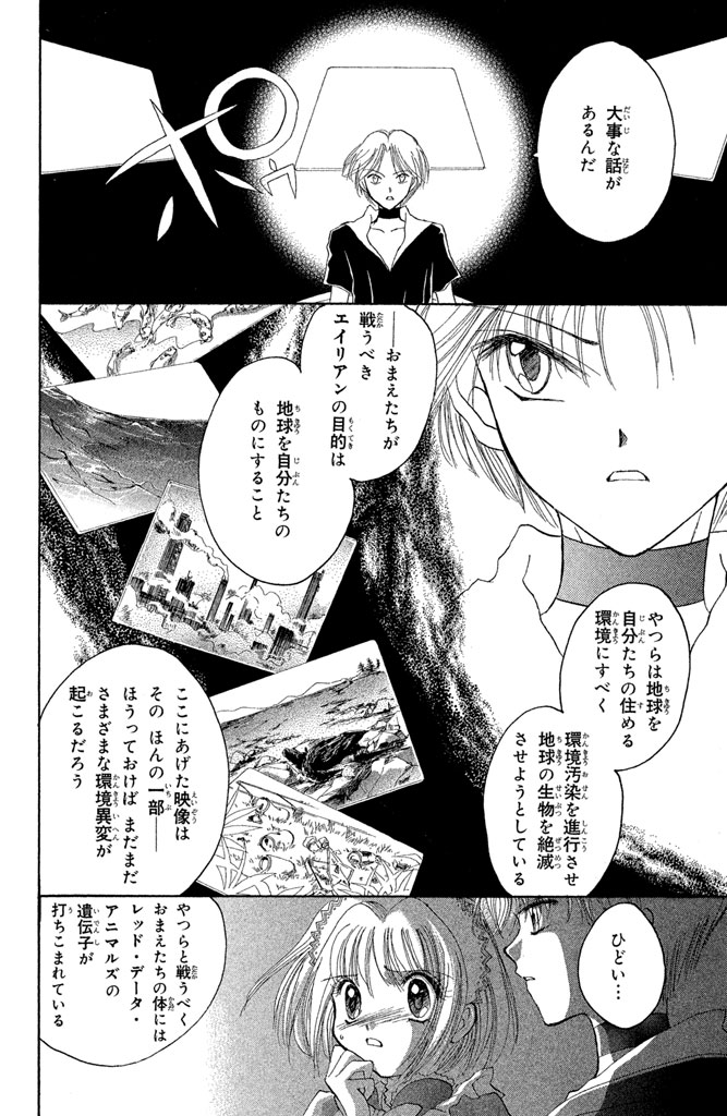 P53