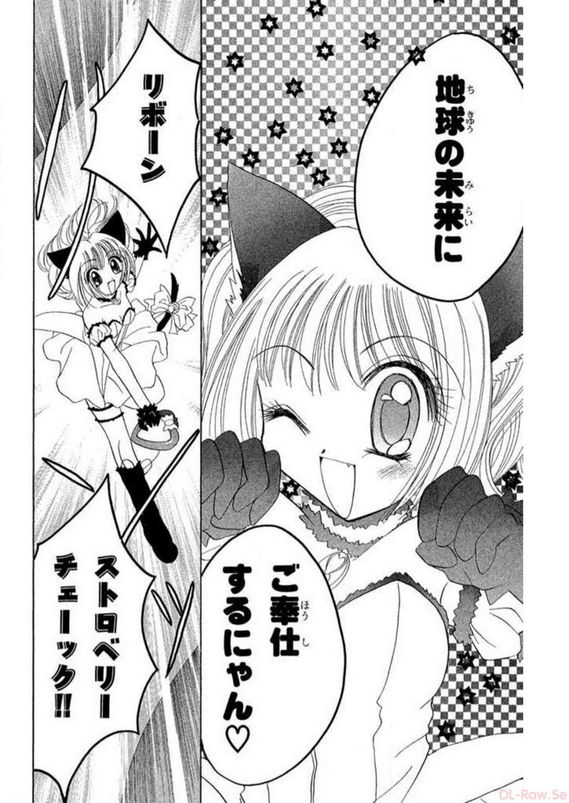 P41