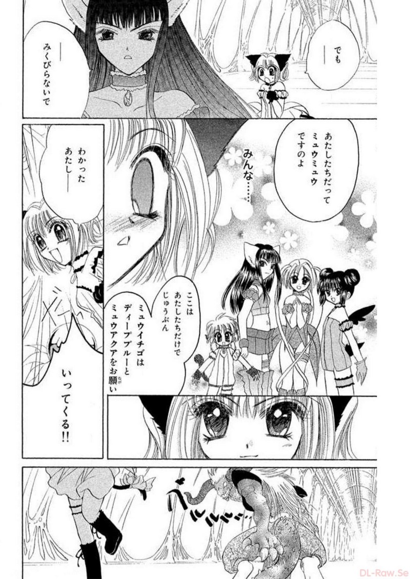 P53