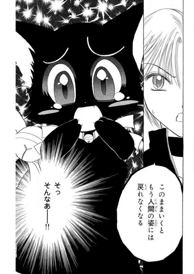P41