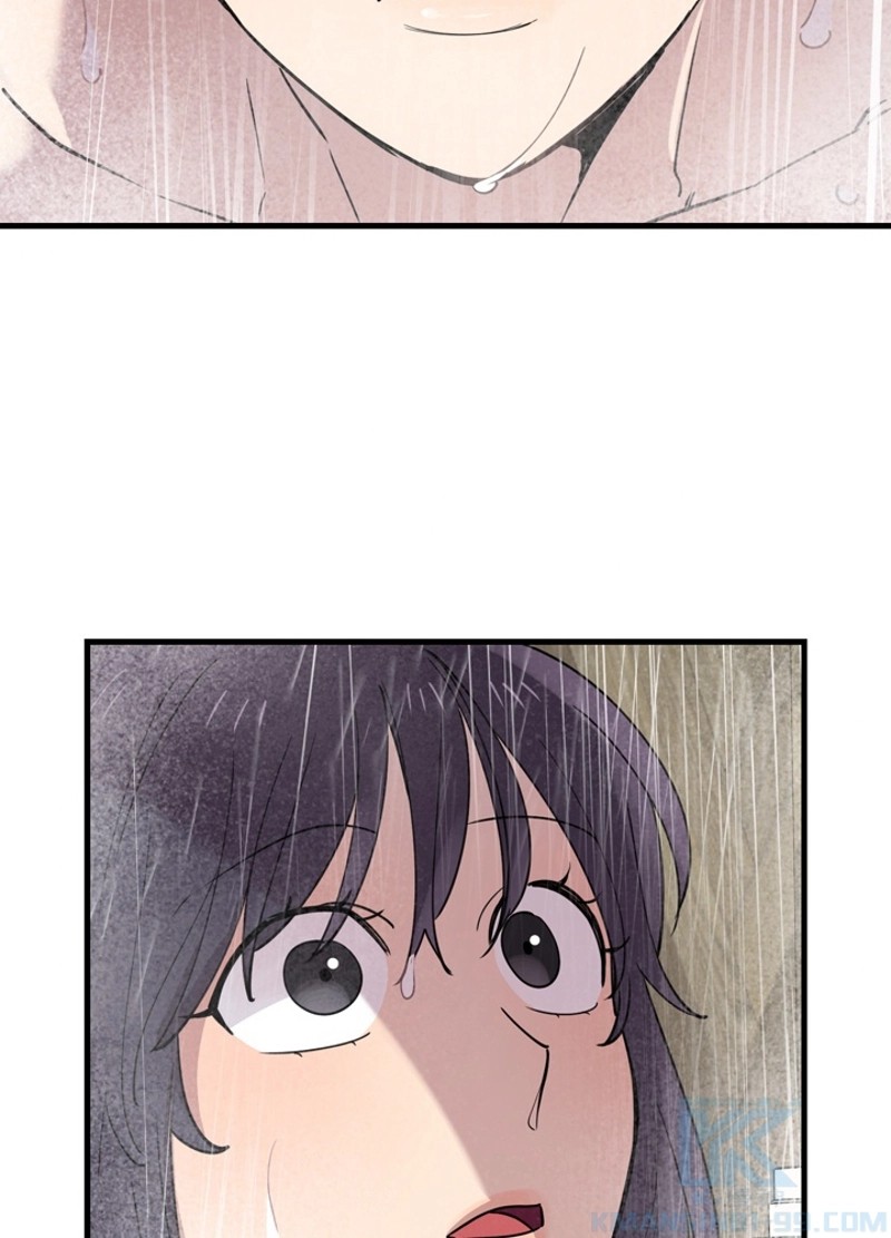 P61