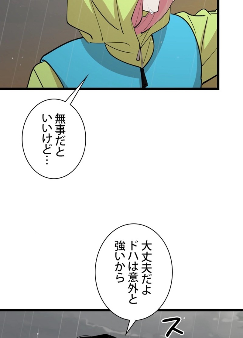 P48