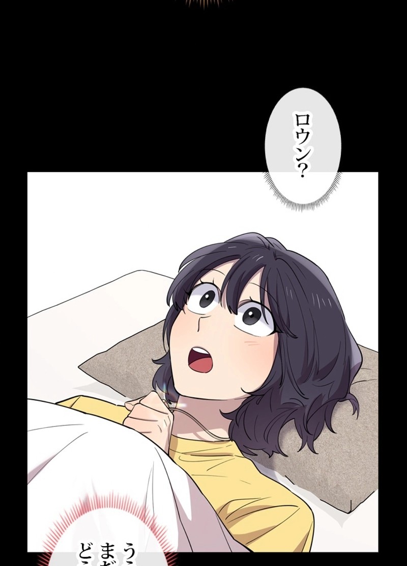 P66