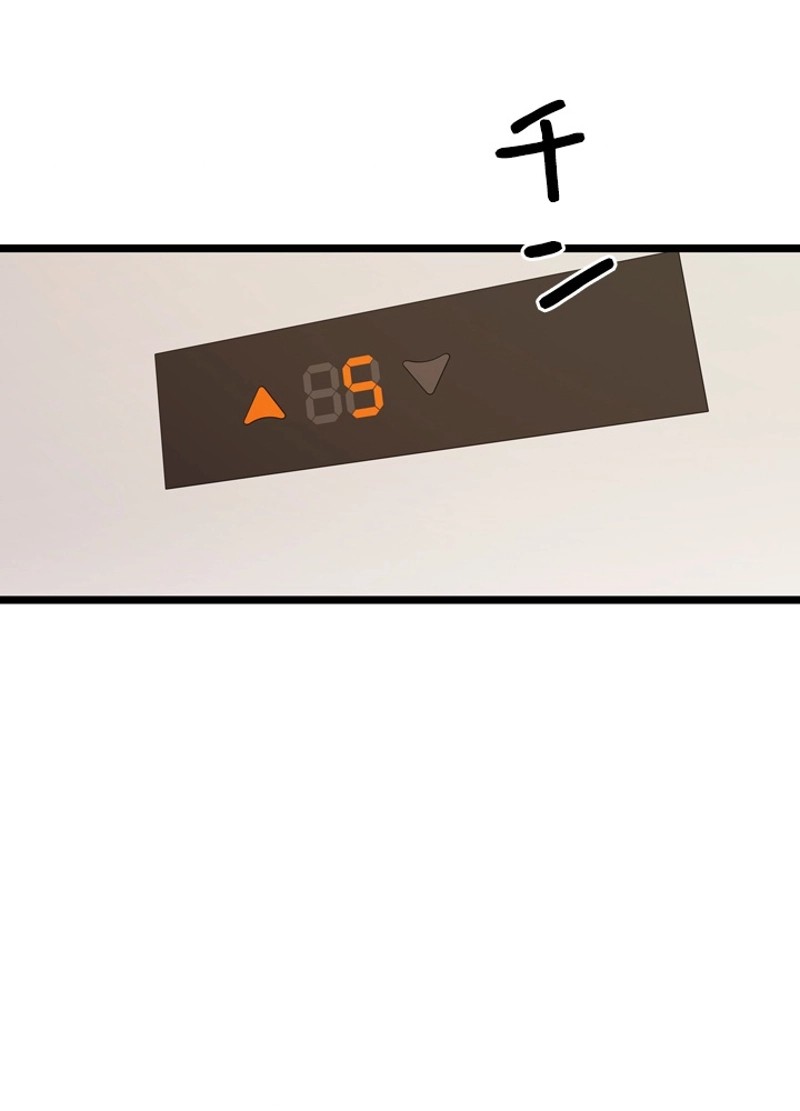P53