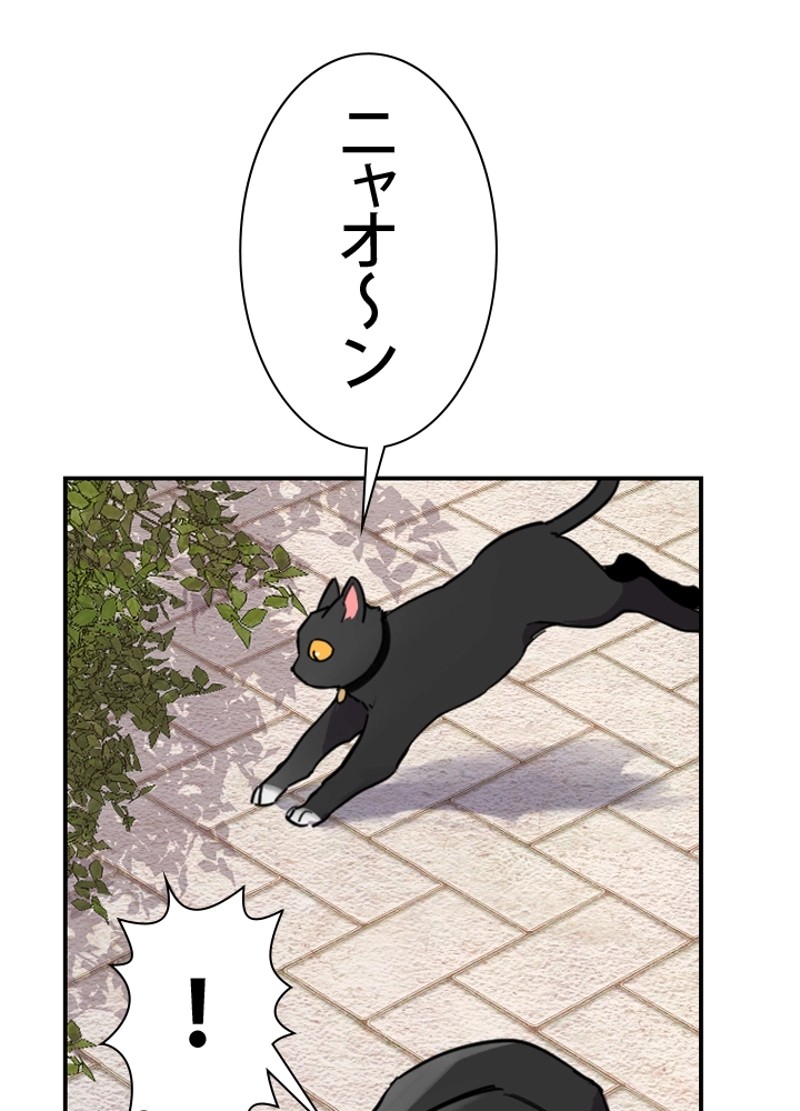 P135