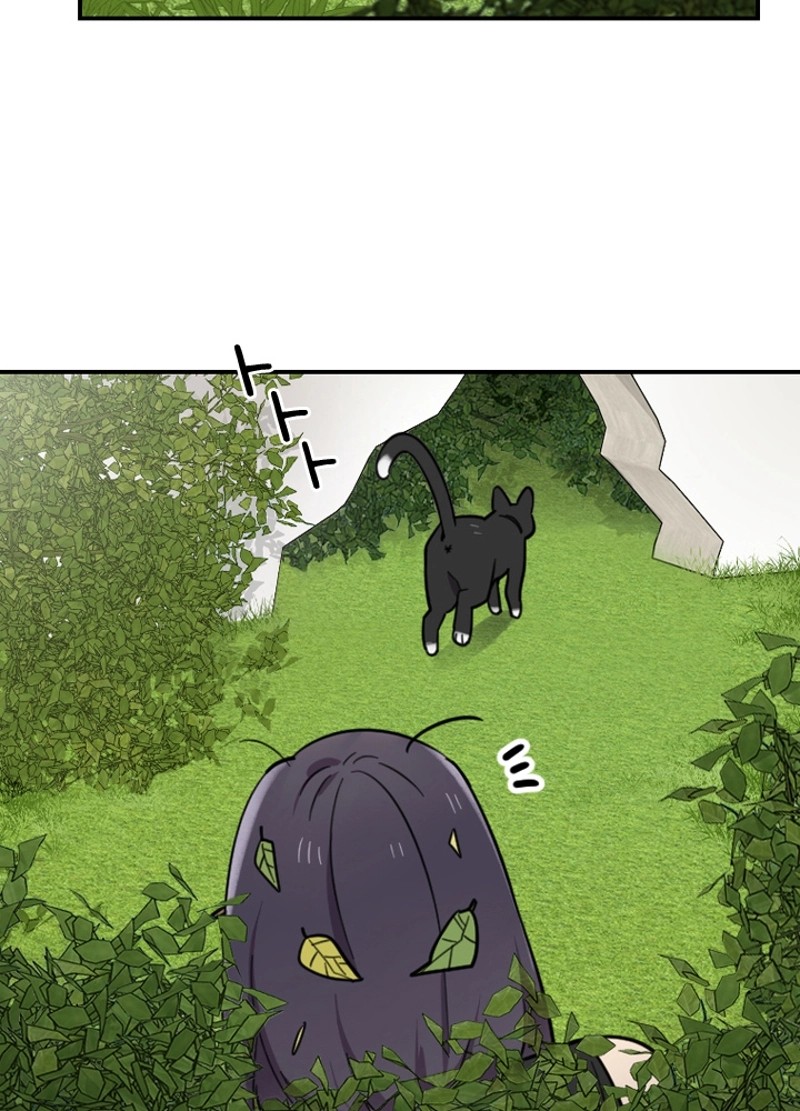P146