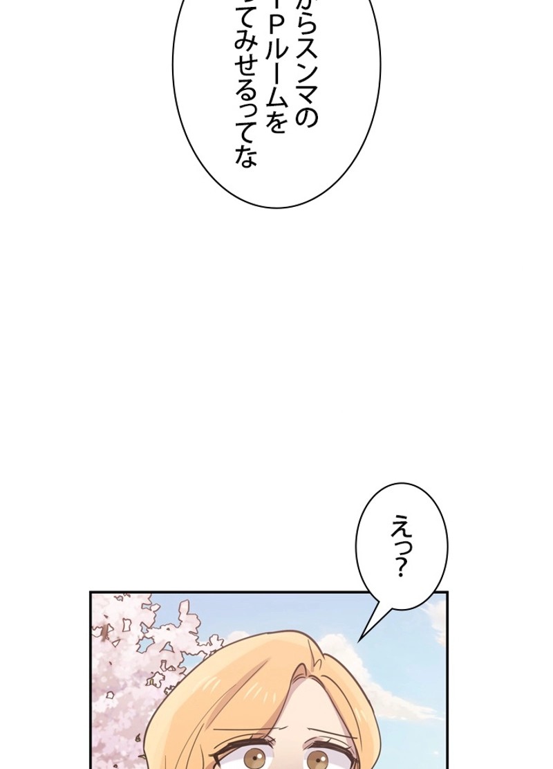 P66