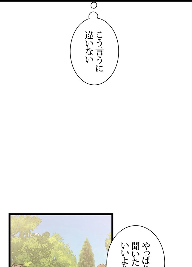 P53