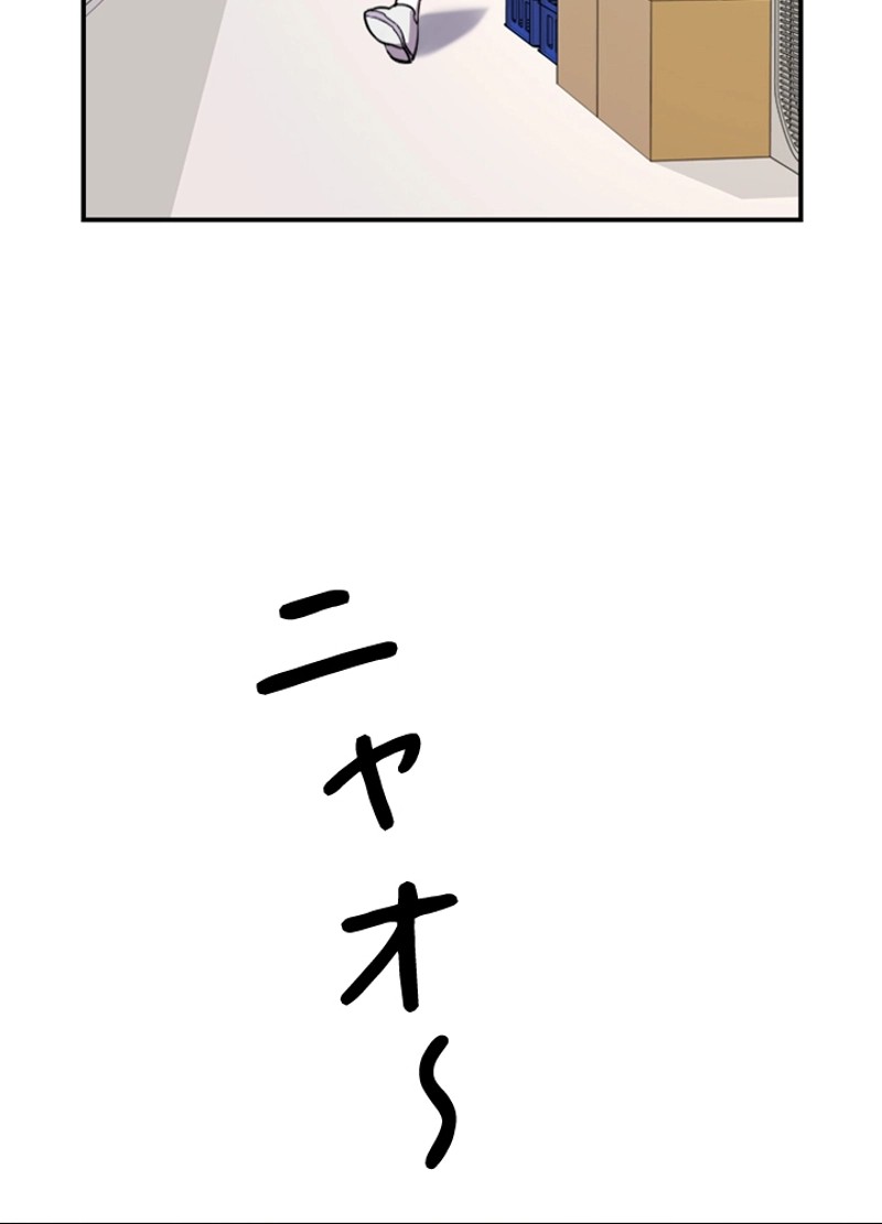P168