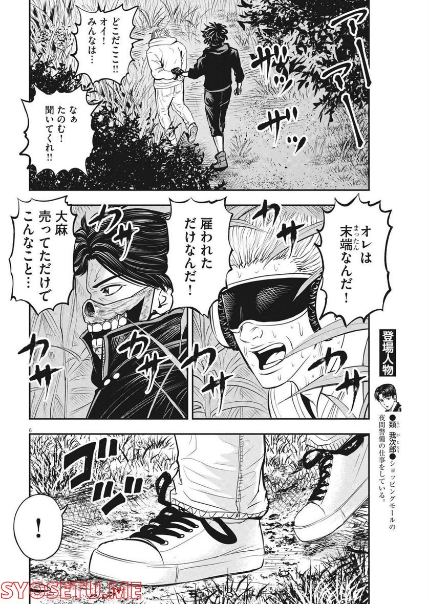 P6
