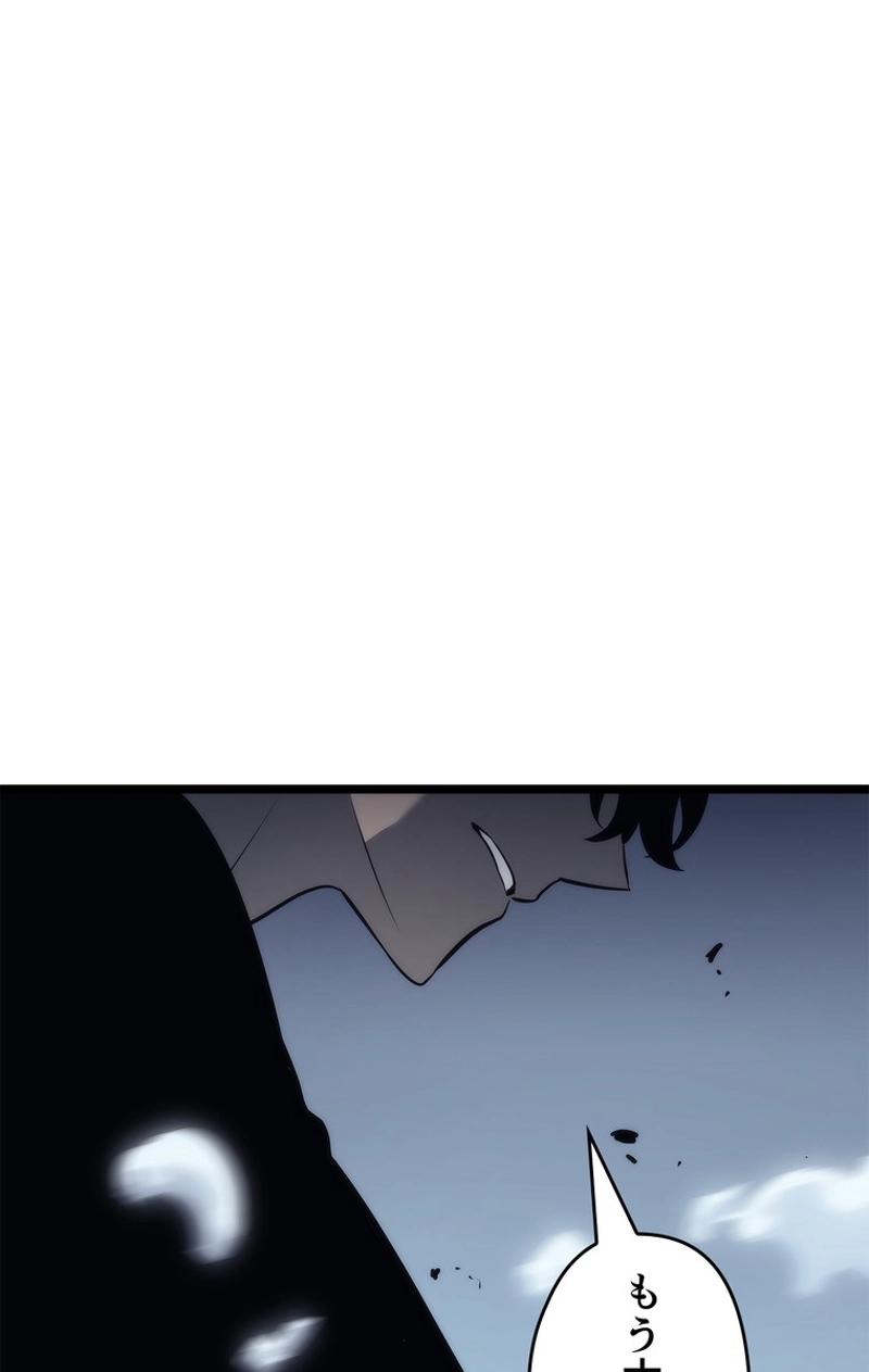 P113