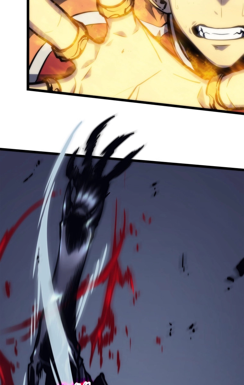 P53