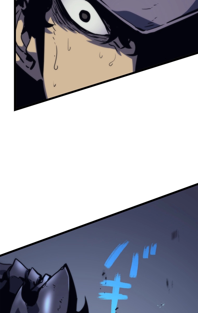 P63