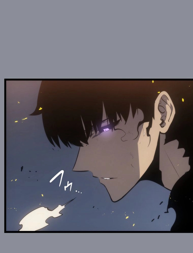 P81